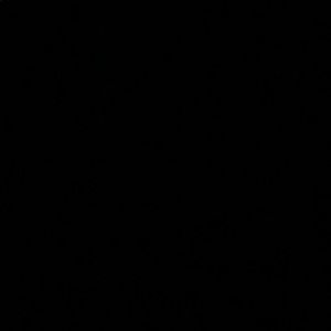 Meet your Posher, Sebastian